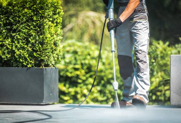 Best Roof Washing  in Green Island, NY