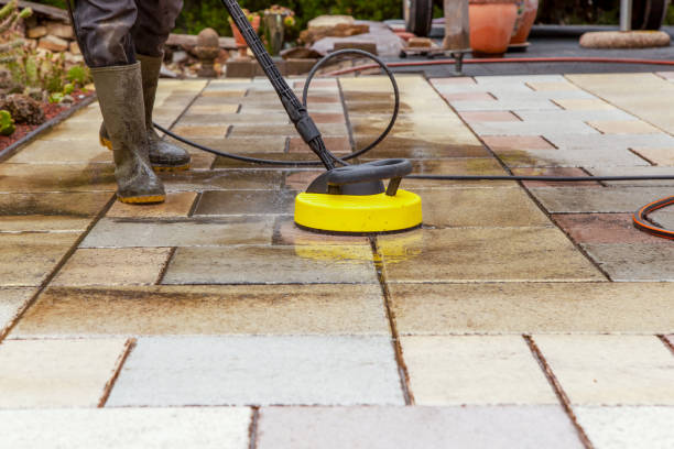 Best Animal Enclosure Cleaning  in Green Island, NY